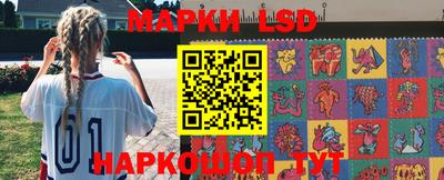гашик Новокубанск
