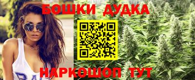 гашик Новокубанск